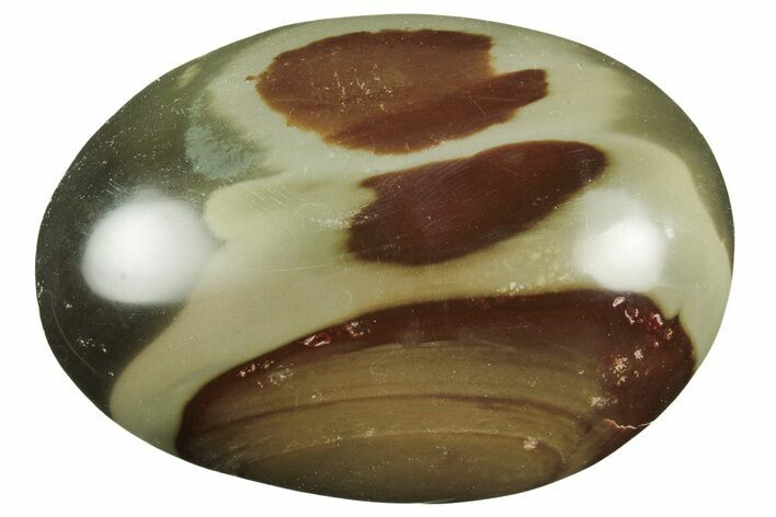 Polished Polychrome Jasper Palm Stone - Madagascar #217881